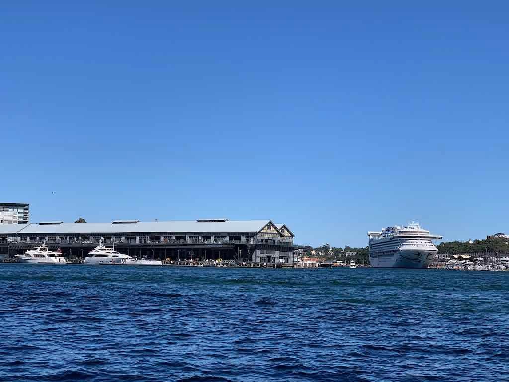 October 2022 Jacaranda Cruise Image -6361c87751176